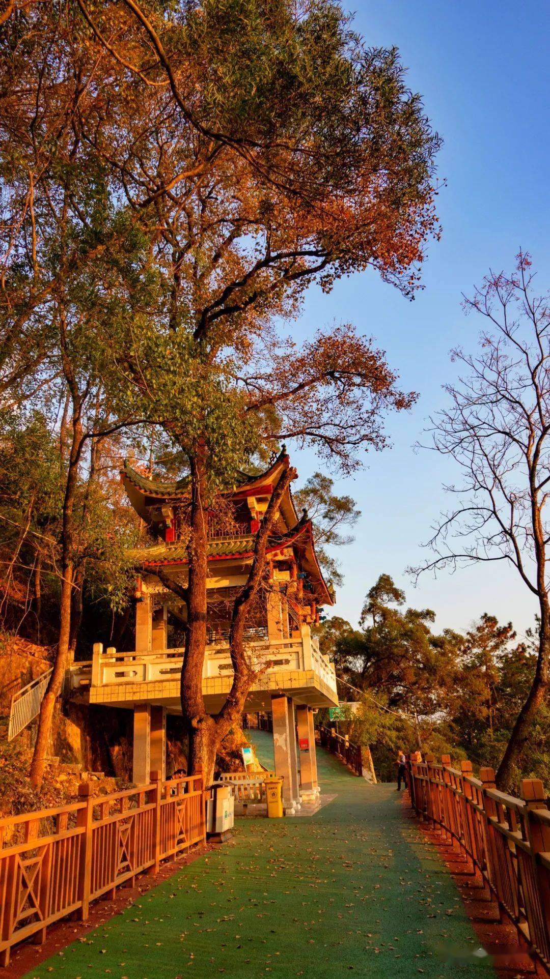 仙游大蜚山,枫叶正当红!