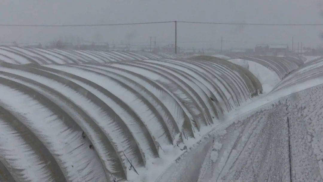 大棚防雪设计图片