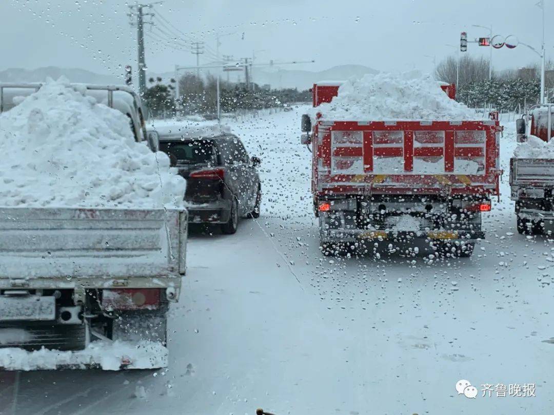 北极圈划到烟台了?"雪窝子"暴雪,积雪最深30厘米,出趟门比取经还难