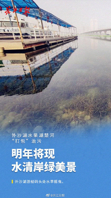 武汉这一片区的河湖有大动作
