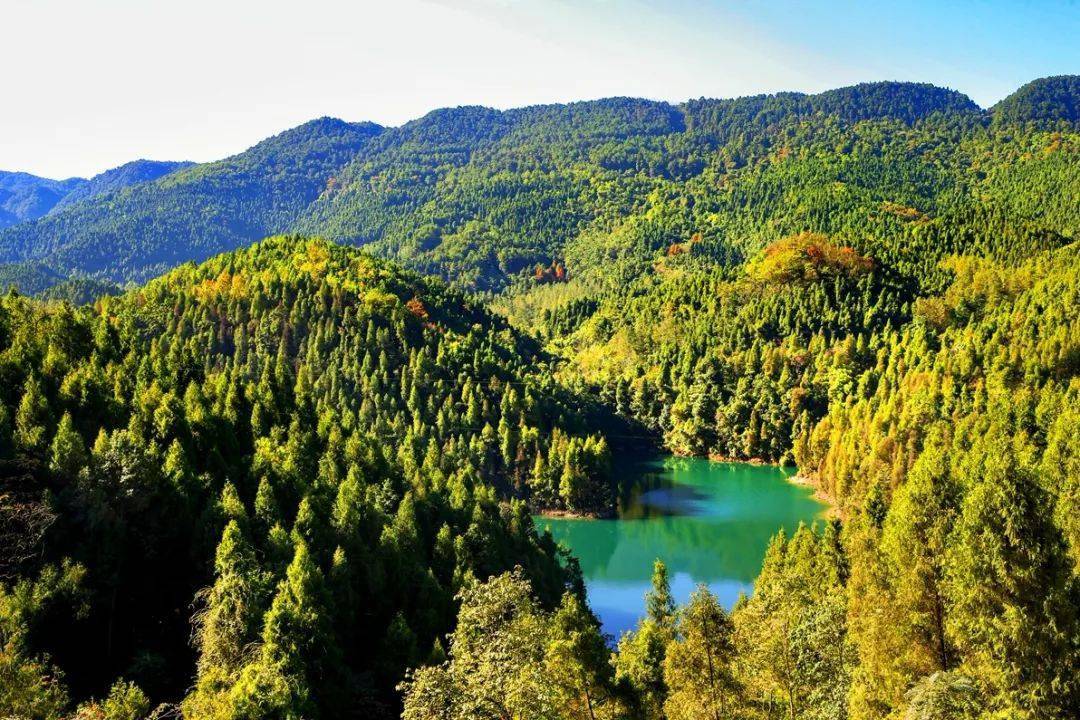 图集丨2020垫江记忆八