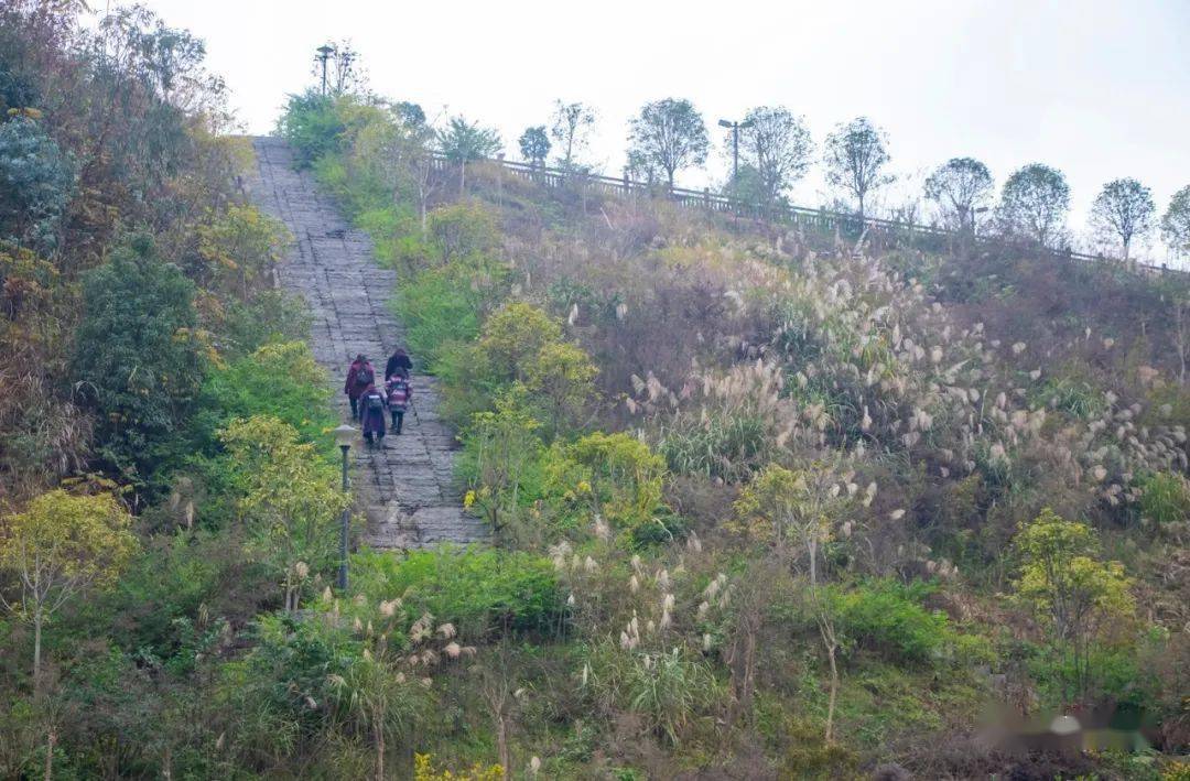 "位于晏家街道龙门村,主要以龙门桥水库为核心,以龙门湿地公园为重点