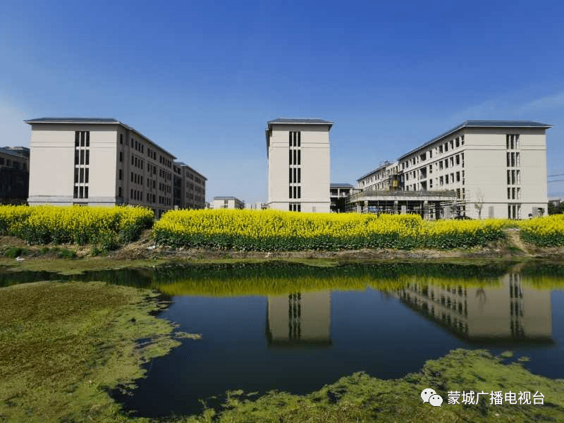 再见,我们的2020!_蒙城