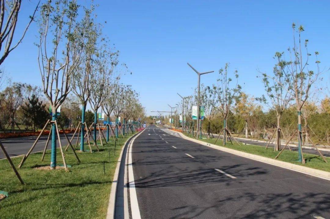 委员会及通州规自分局统筹组织下,城市绿心基础设施规划采取"政府组织