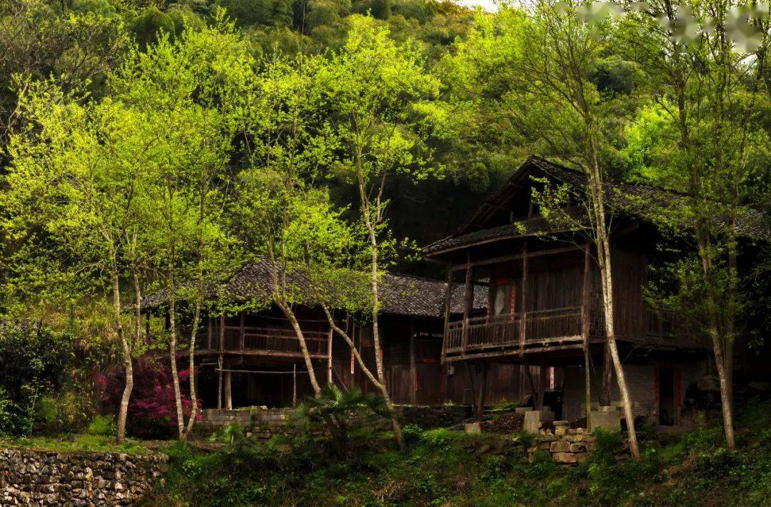 推荐|| 胡任之《元日试笔(并序)》