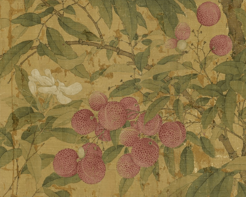 一骑红尘妃子笑看看宋徽宗笔下的荔枝图