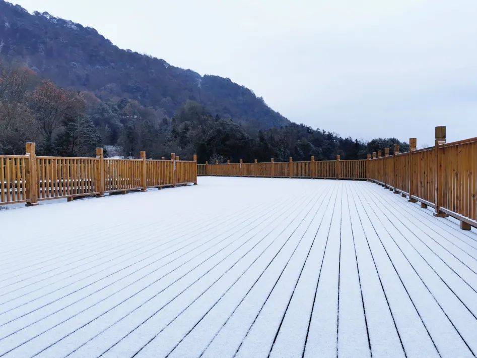 蒙顶山一般从晌午开始飘雪 起初如碎米飞溅 渐渐六出飞花 夜晚降临
