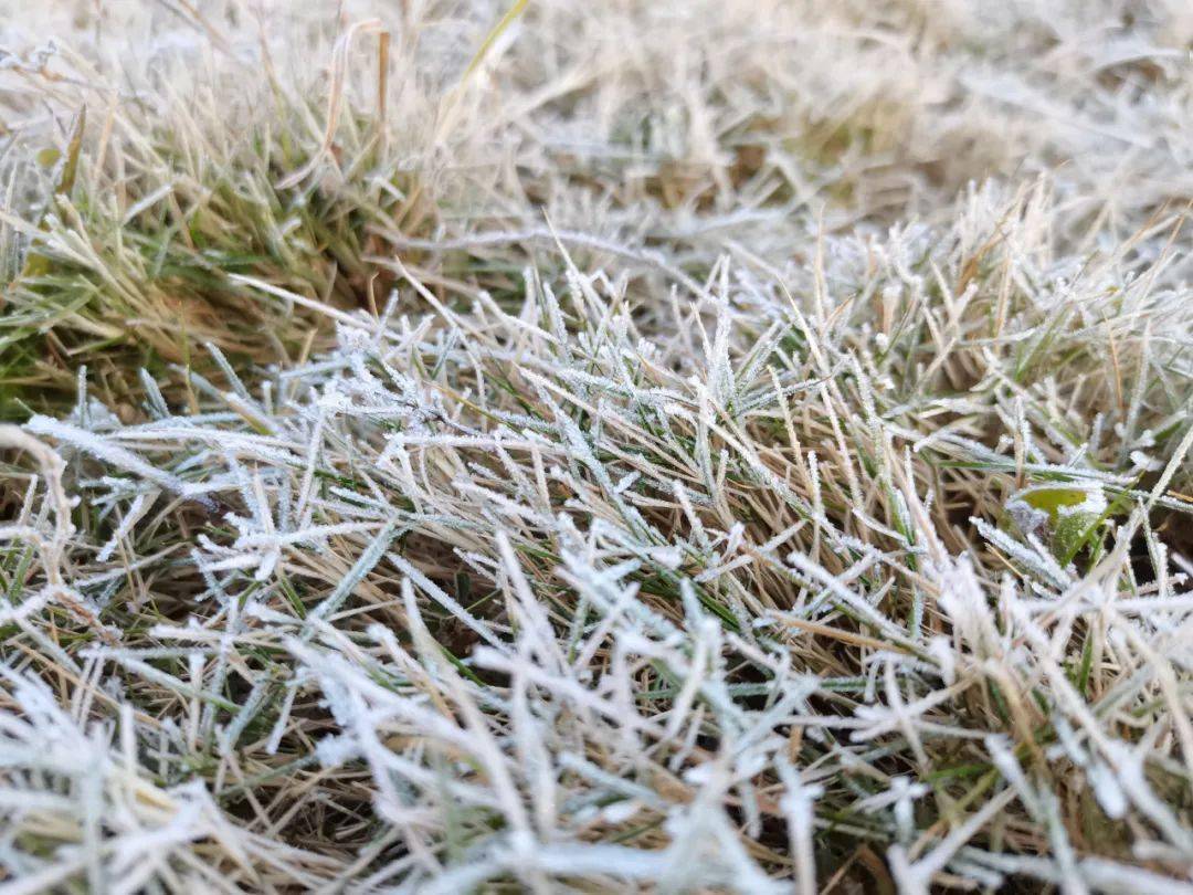 31日晚到2021年1月1日白天,晴天,气温1～15℃,吹东北风2-3级;天气寒冷