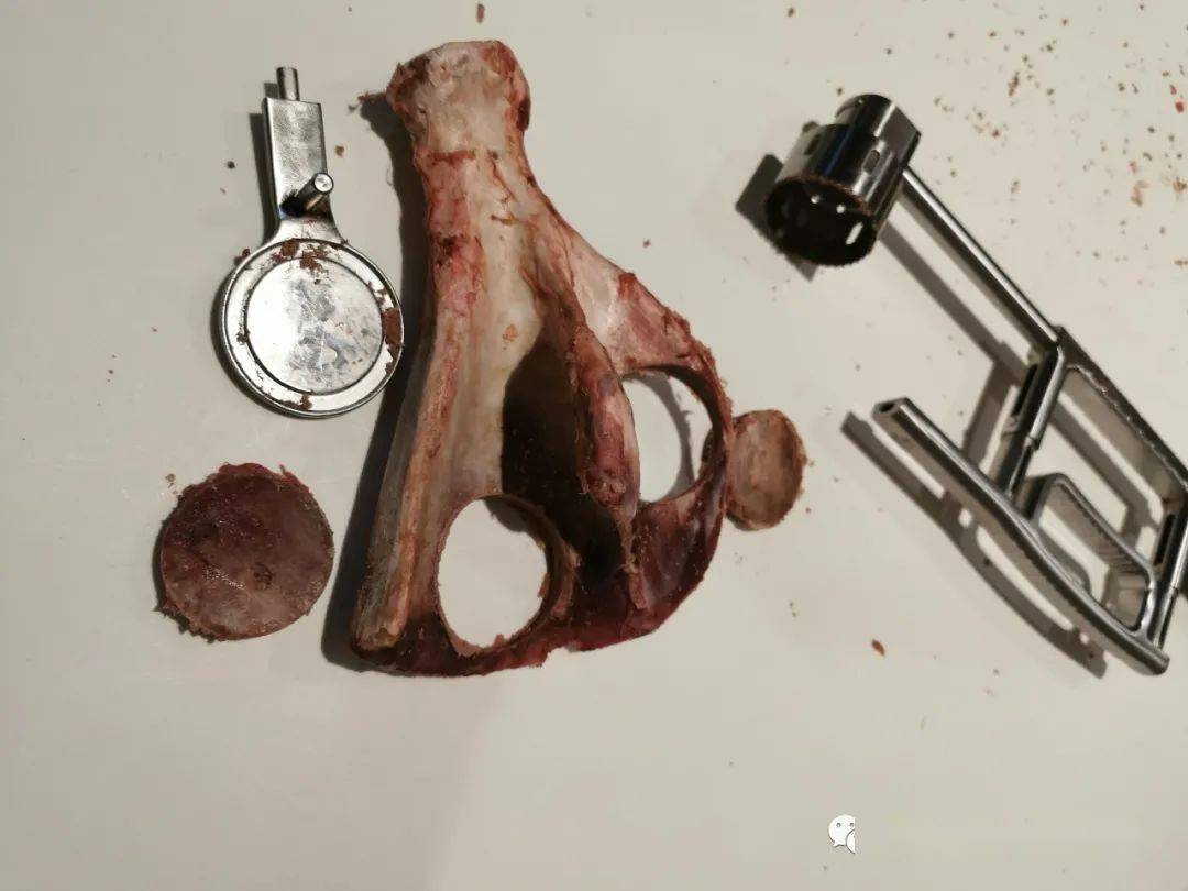 半自动化保留髂嵴的髂骨翼取骨器械骨切割测试