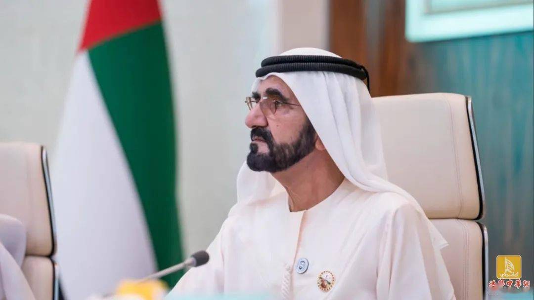 迪拜酋长谈2020年:充满挑战的一年,彰显阿联酋实力