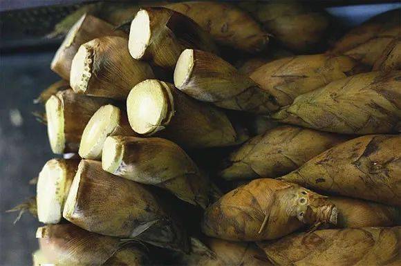 40年前的美食._年代