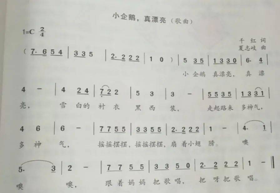 小企鹅钢琴简谱幼师图片