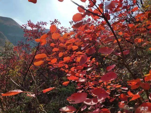 古路无行客,寒山独见君.野桥经雨断,润水向田分.