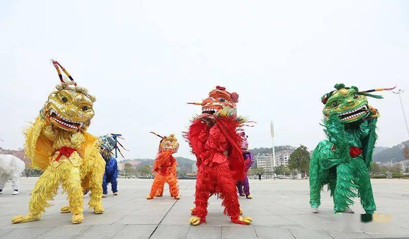 赣南民俗定南瑞狮喜迎新年