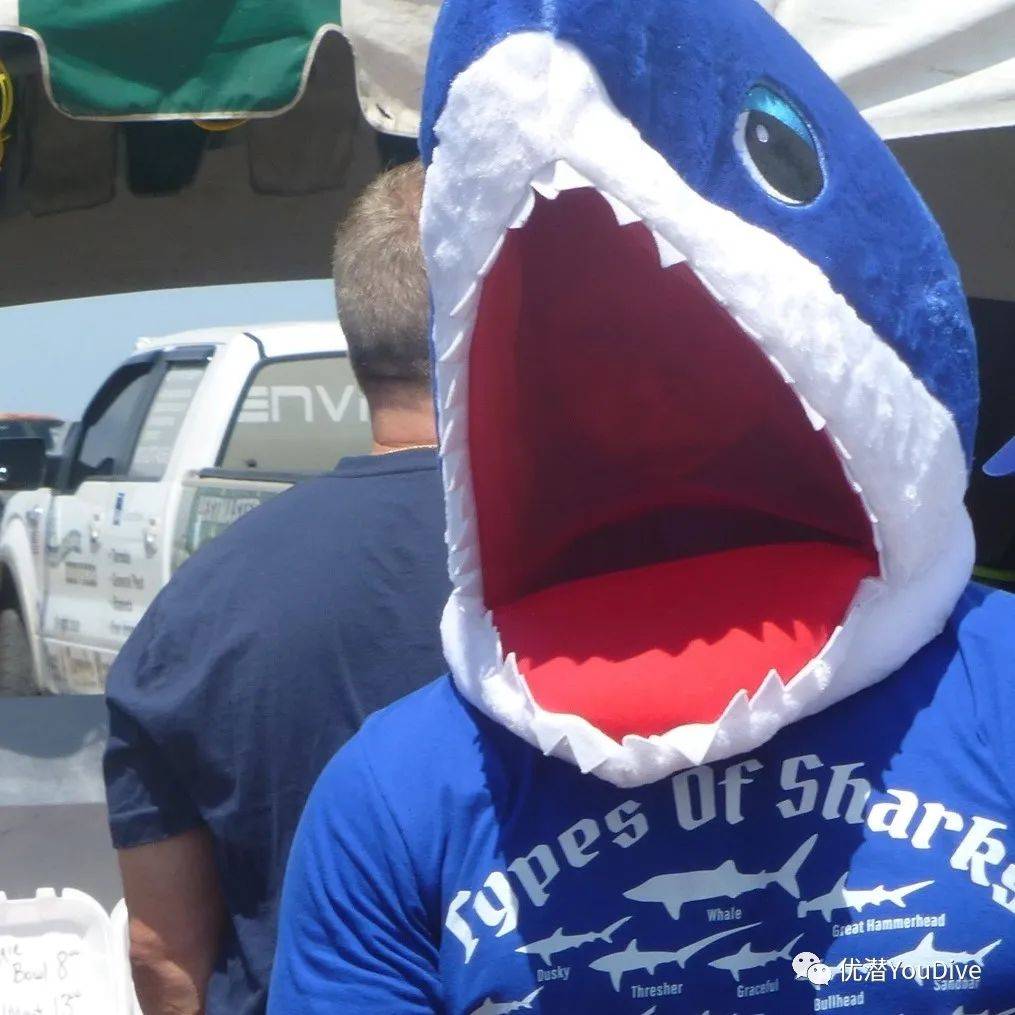 一名潜水员在佛罗里达威尼斯海岸发现巨大的鲨鱼牙齿