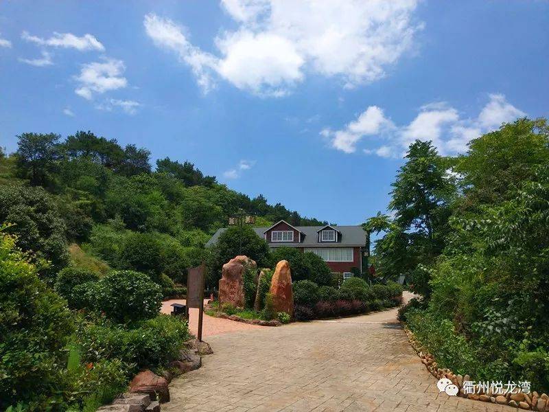 市级职工疗休养基地巡展①:衢州悦龙湾度假山庄,吃住玩乐购攻略在此啦