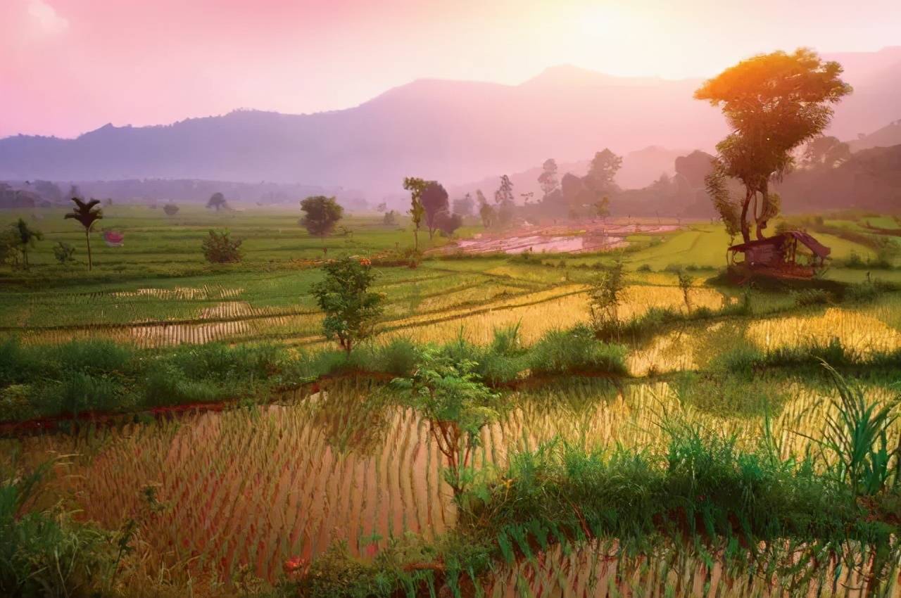 田园风光,令人陶醉