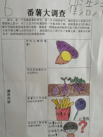 幼儿园土豆调查表图片