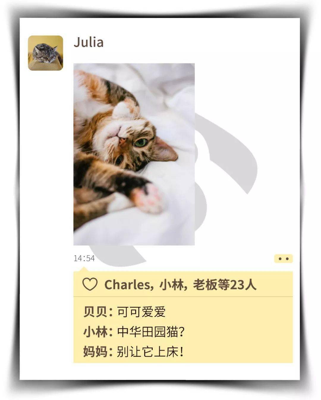 你在朋友圈这么晒猫你家猫知道么
