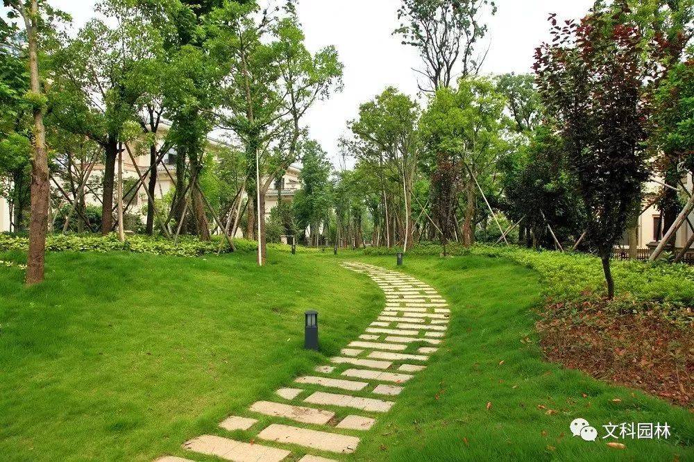 宽狭不一曲直相济园路设计如何契合整体园林环境