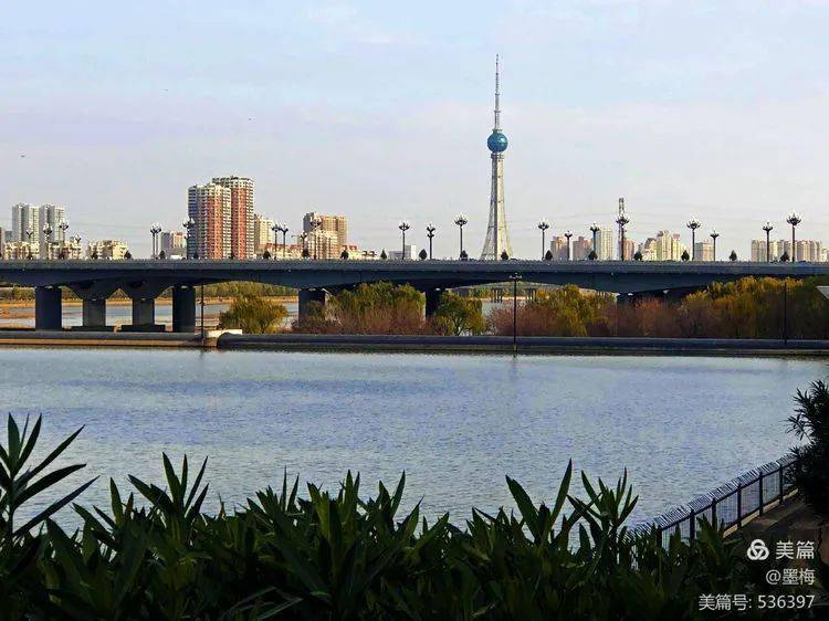 初冬洛浦惊鸿一瞥