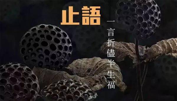 你为什么命苦,因说话太强硬了,强硬态度决定命苦程度!