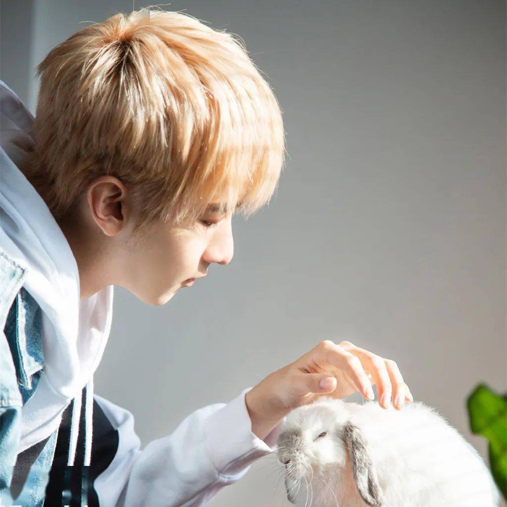 微信头像r1se赵让