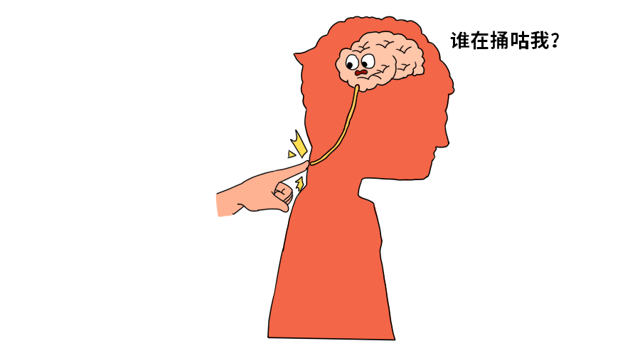 心理话丨挠痒痒其实是一场快乐的酷刑