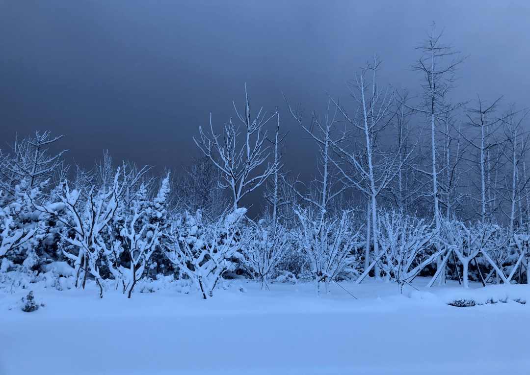 暴风雪模式继续!烟台连发多个预警!这些消息需要知道