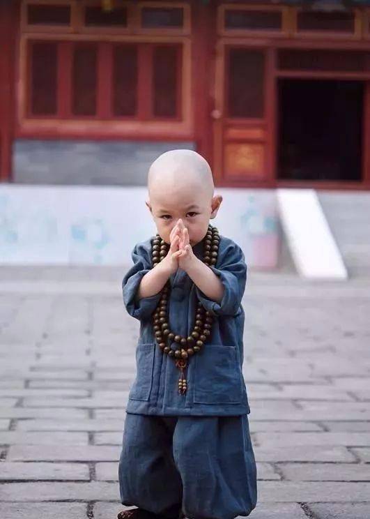 太可爱了吧~庙里的小和尚,插着腰是要干嘛呢~山里的两兄弟,太壮观了