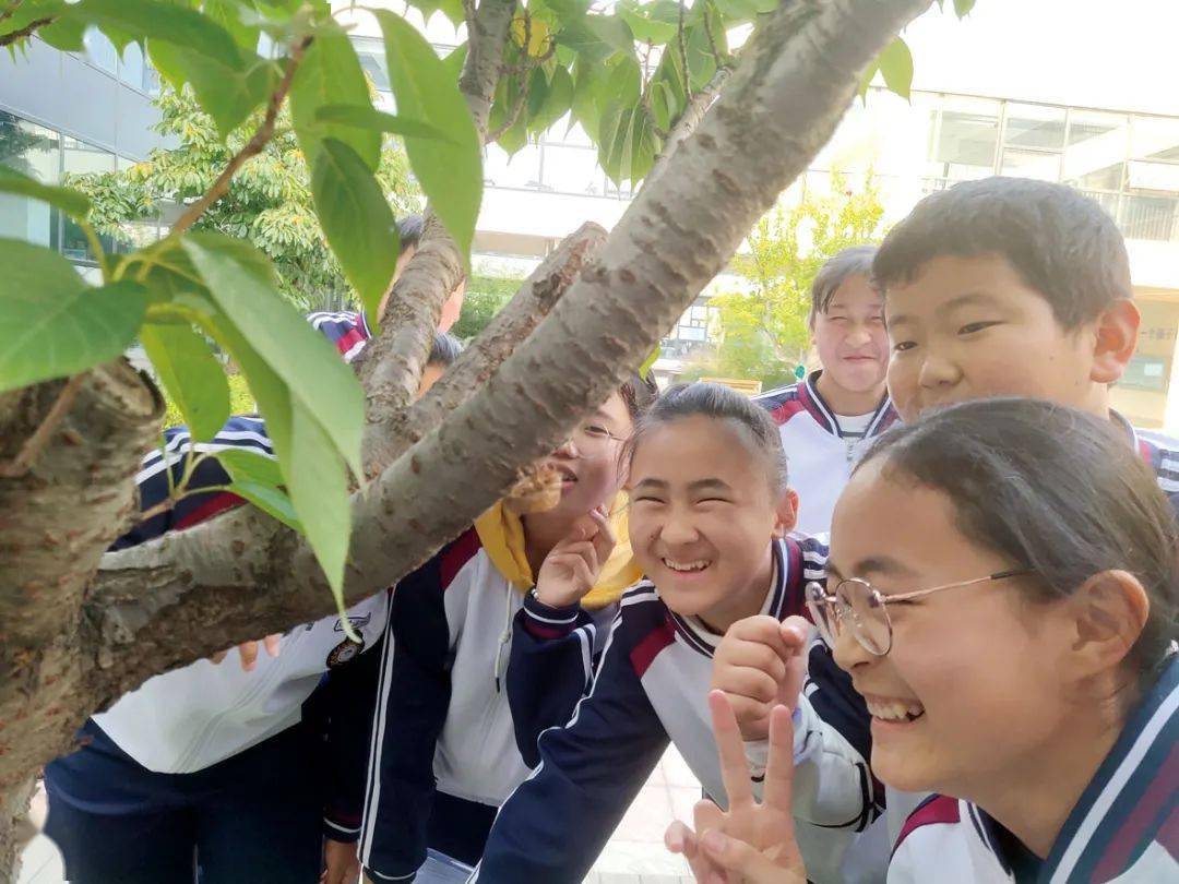 山东省威海市望海园中学以"创·美"教育为特色,重视学生的科技创新