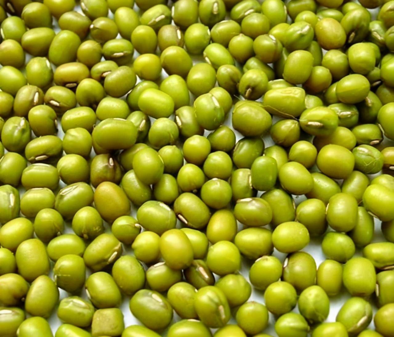 会让猪消化功能再次受到损伤,这个时候准备绿豆150克,大蒜30克,猪苦胆