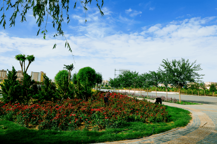 2020年11月24日拍摄的十四师皮山农场三连红枣晒场一角.