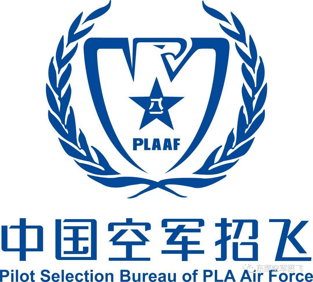 中国空军标志图片高清图片