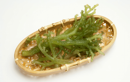 【河湟美食】凉拌鹿角菜_青海