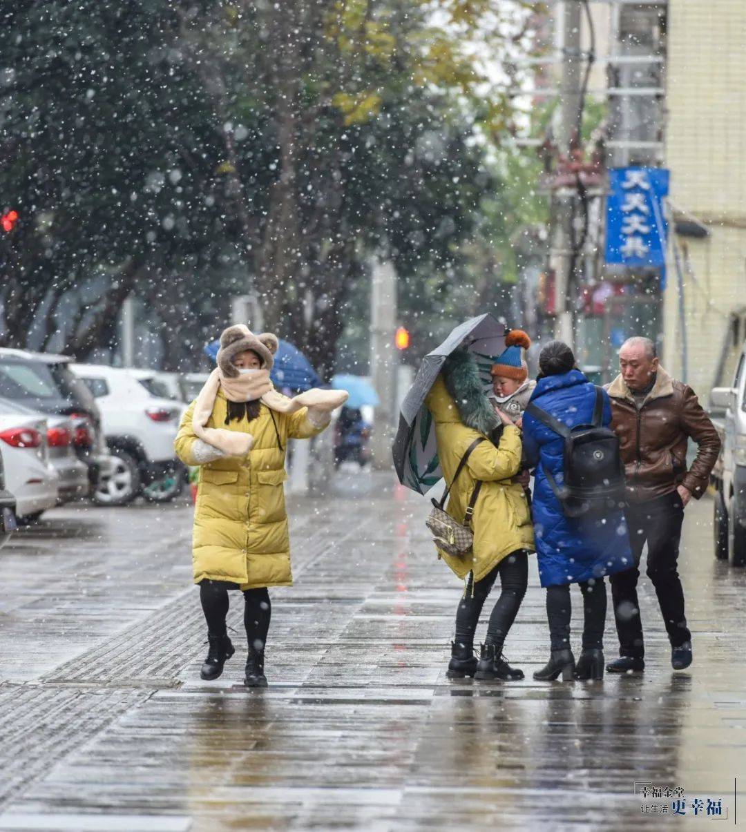 今天成都人过节了!2021年的第一场雪,超认真,有人用袋子装,有人用嘴接