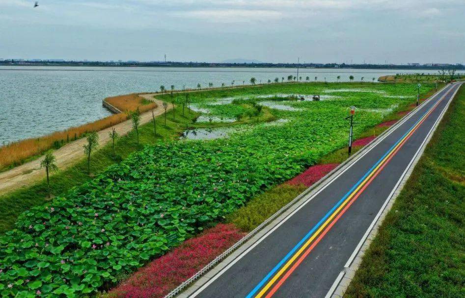 无锡的这些彩虹跑道美不胜收让你健身赏景两不误