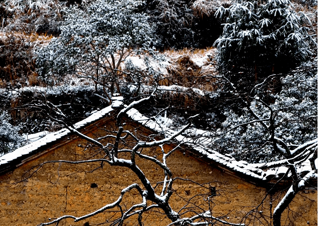 下雪了下雪了一大波乡村雪景照等你欣赏
