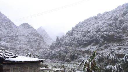 广西也下雪了 百色南部山区普降瑞雪
