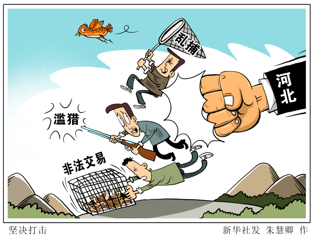 案件线索,巡查摸排包括自然保护地,集贸市场,农家乐,野生动物救助站