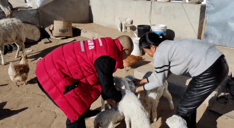 骑羊女人图片