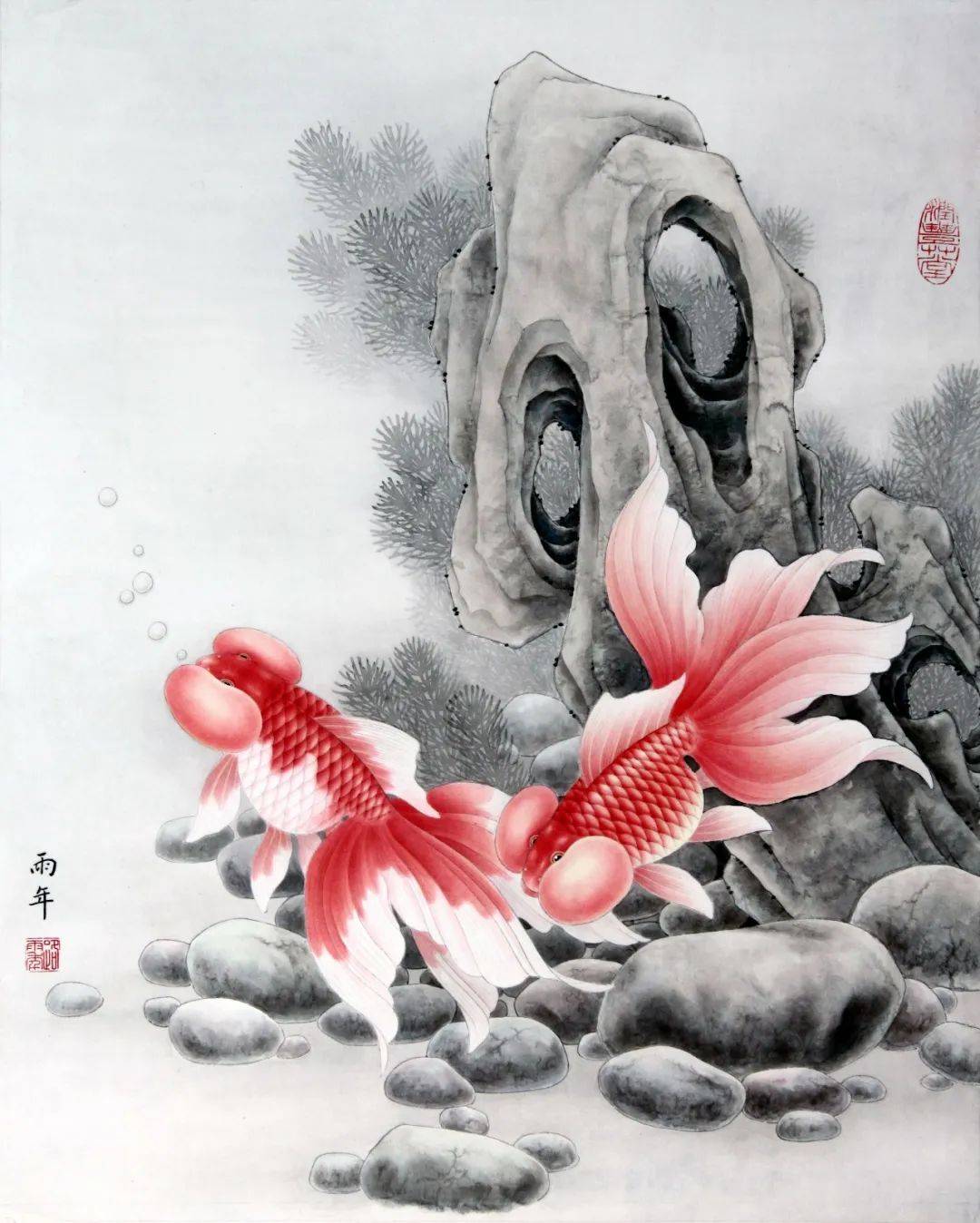 工笔红水泡眼金鱼教程