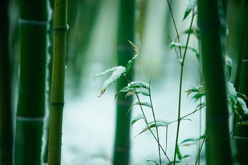 落雪的時候,看萬里江山,洗盡鉛華,褪盡色彩,猶存楚楚清韻.