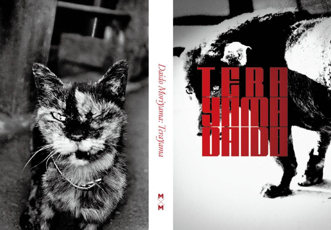 森山大道寺山修司边缘人物背街人生