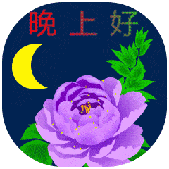 群发晚上好问候动画表情包睡前晚安问候祝福图片带字