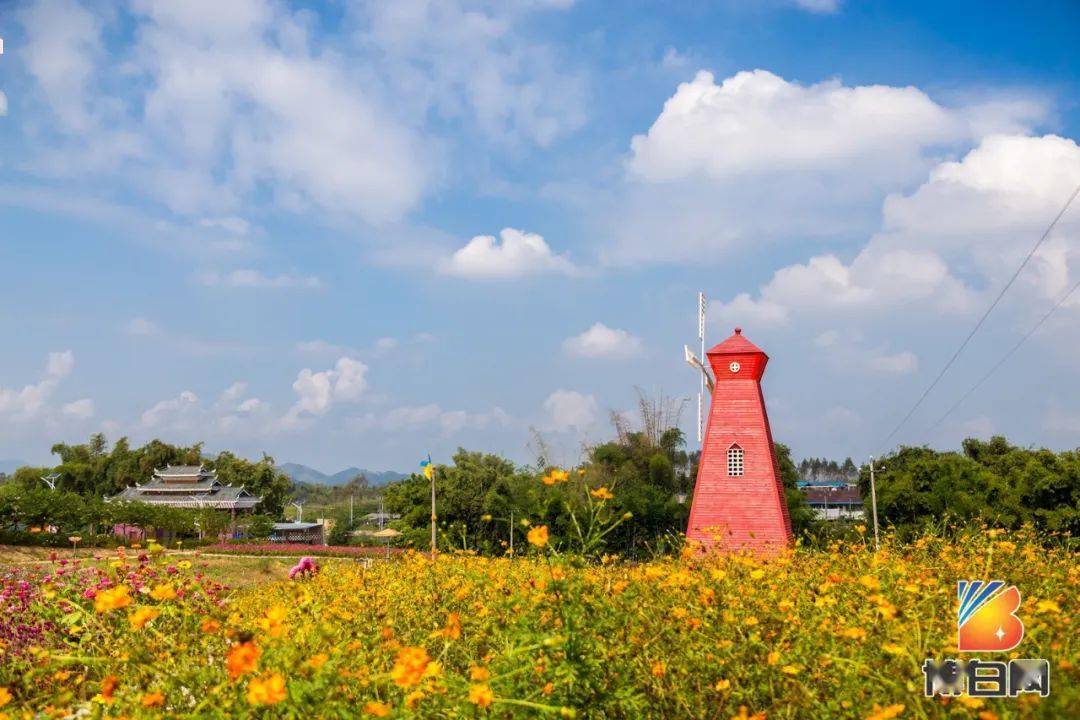 除了吃喝玩乐之外博白这个四星级景区又有新动作啦