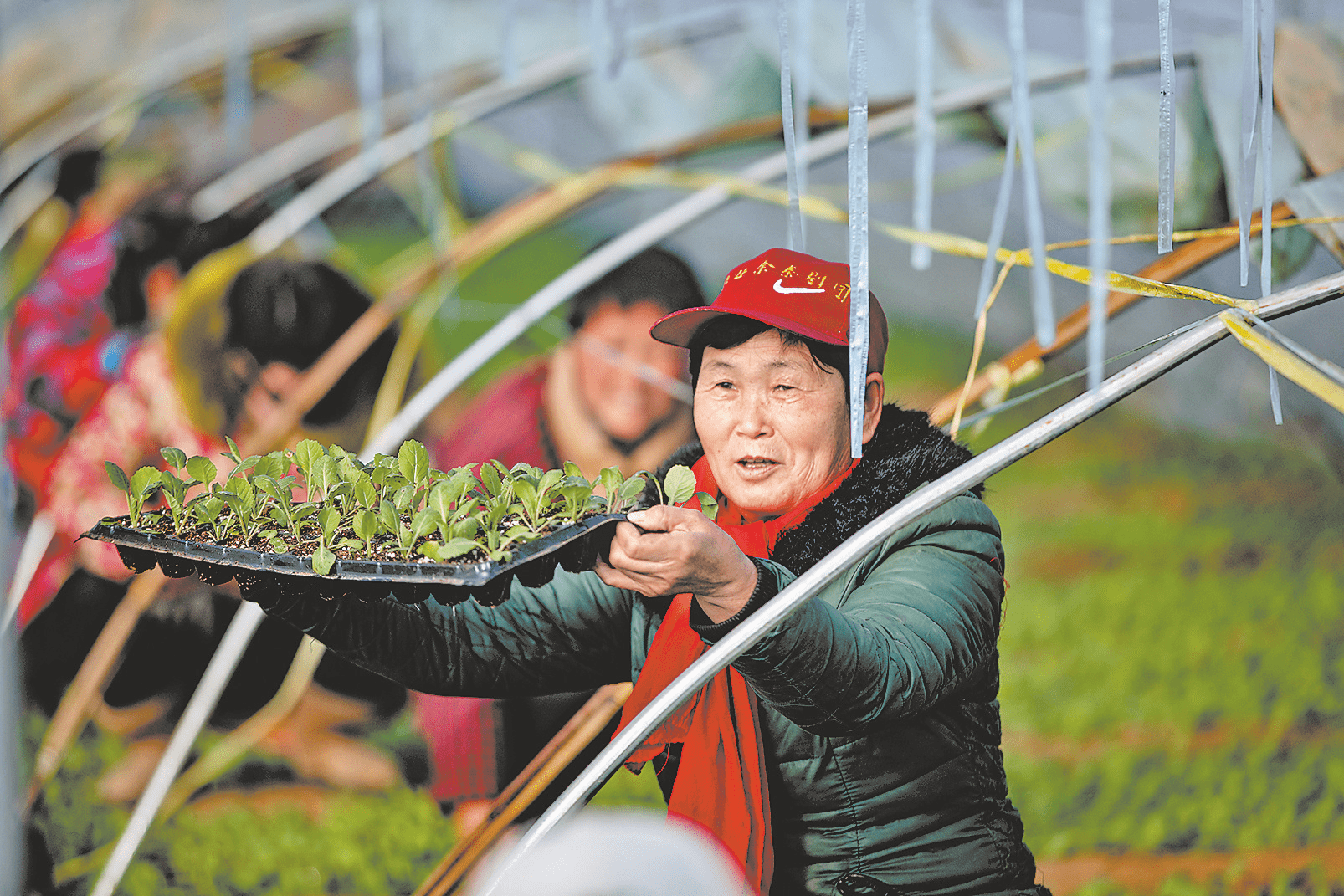 产业兴旺乡村振兴有底气