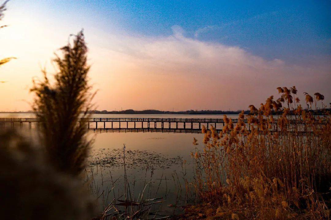 一座座挺拔的山峰,清秀峻峭,巍然屹立,也因这水而变得温柔动人.