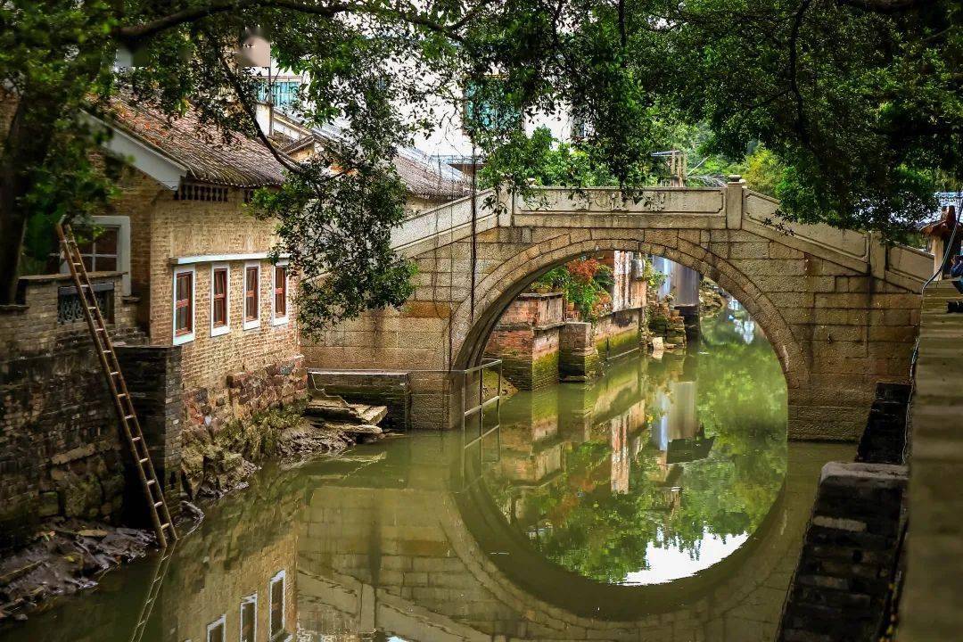 乡村蝶变伦教三洲昔日革命老区变身红色文旅打卡地