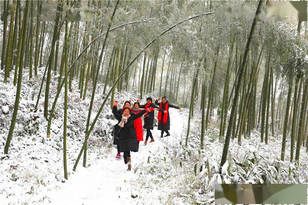 在冬天的纯洁里感受初雪的美来蜀南竹海赴一场秋冬交织的盛宴踏着2021